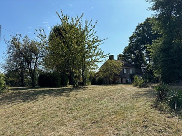 achtertuin