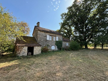 achtertuin